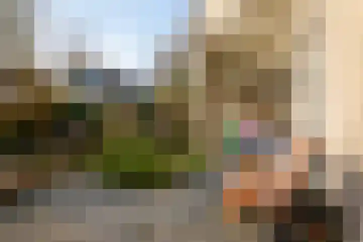 Wingerdweg 233 Amsterdam thumbnail 19