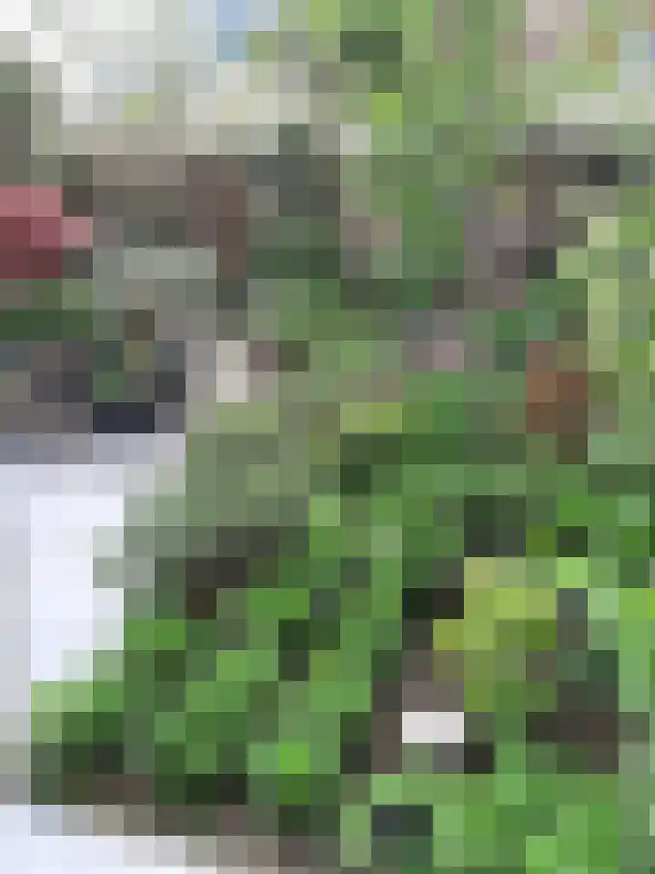 Wingerdweg 233 Amsterdam thumbnail 28