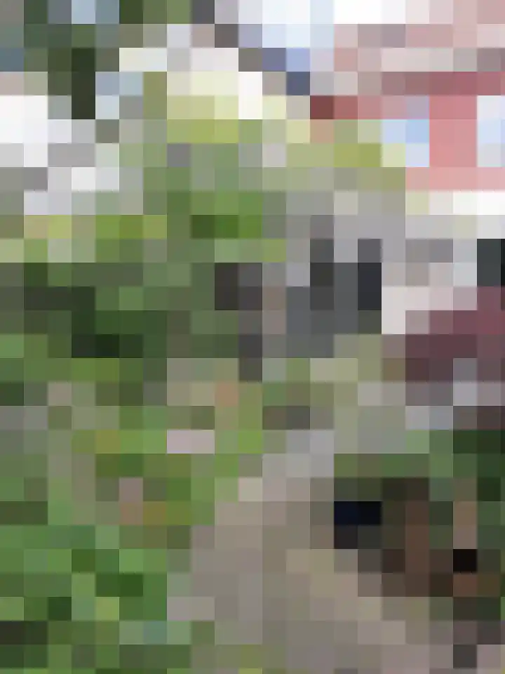 Wingerdweg 233 Amsterdam thumbnail 30