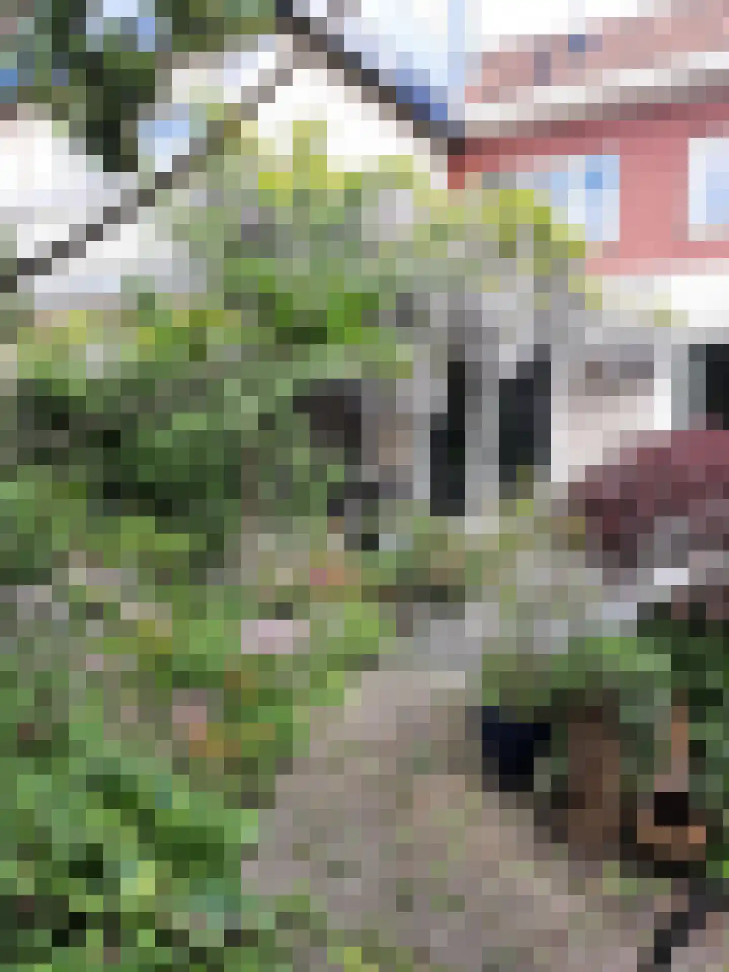 Wingerdweg 233 Amsterdam thumbnail 31