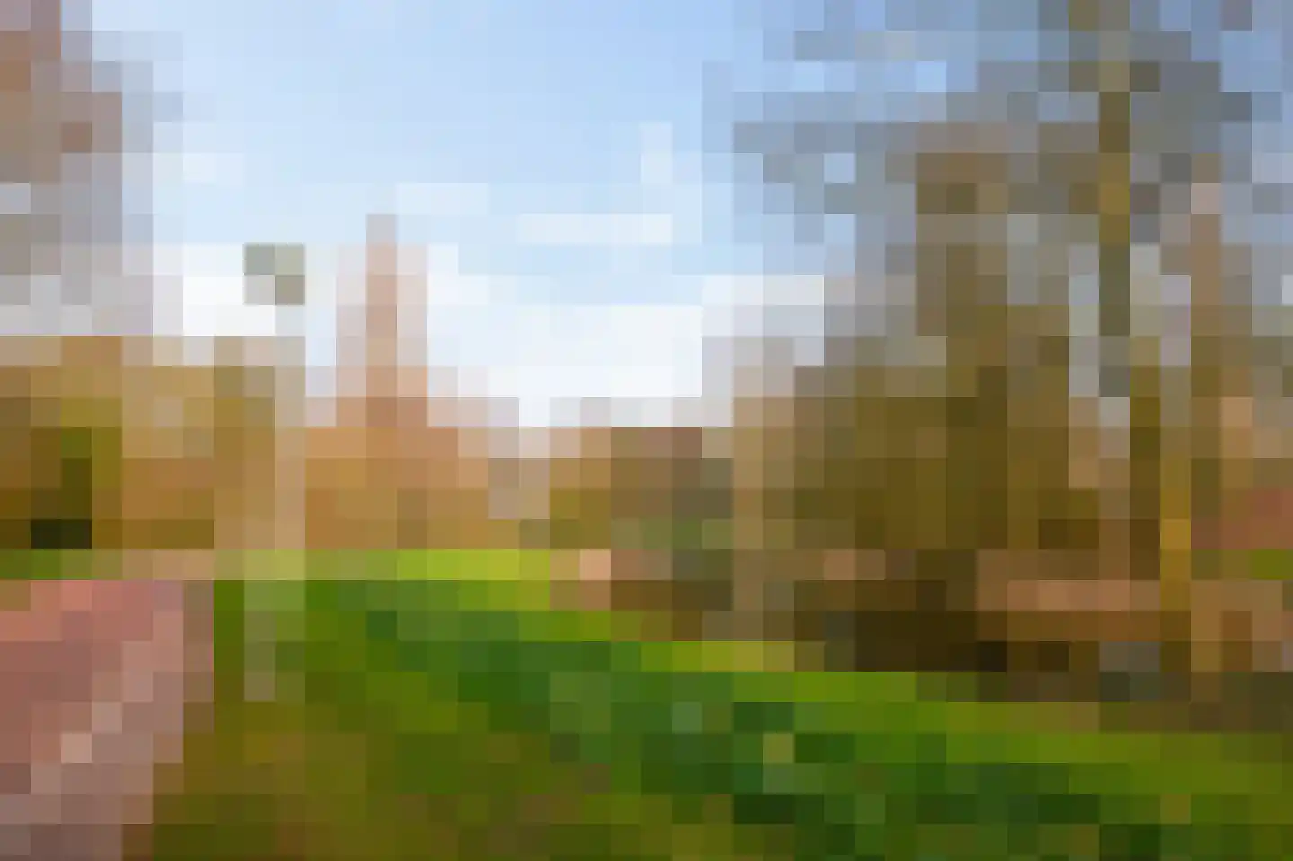 Wingerdweg 233 Amsterdam thumbnail 34