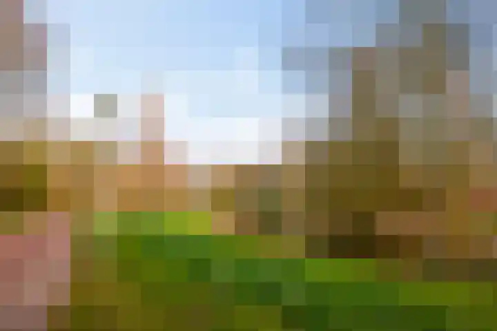 Wingerdweg 233 Amsterdam thumbnail 34