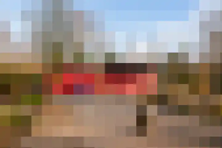 Wingerdweg 233 Amsterdam thumbnail 35