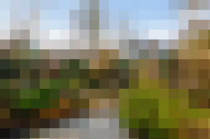Wingerdweg 233 Amsterdam thumbnail 4