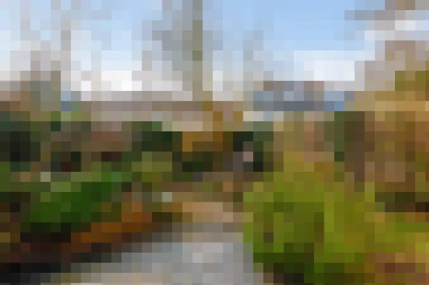 Wingerdweg 233 Amsterdam thumbnail 5