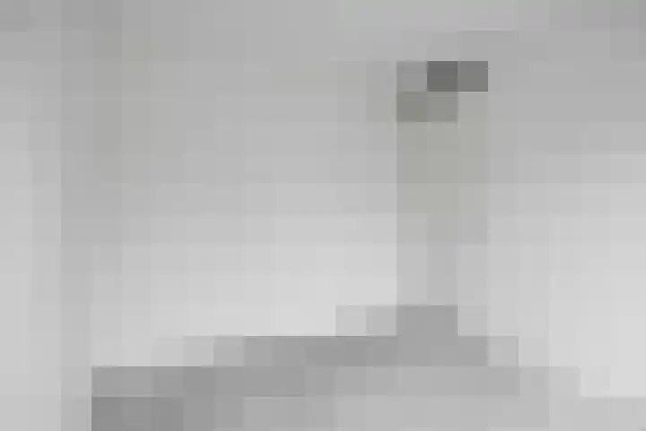Wingtapper 1 Venhorst thumbnail 15