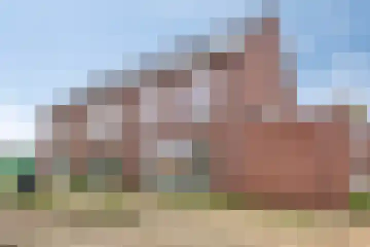 Wingtapper 1 Venhorst thumbnail 23