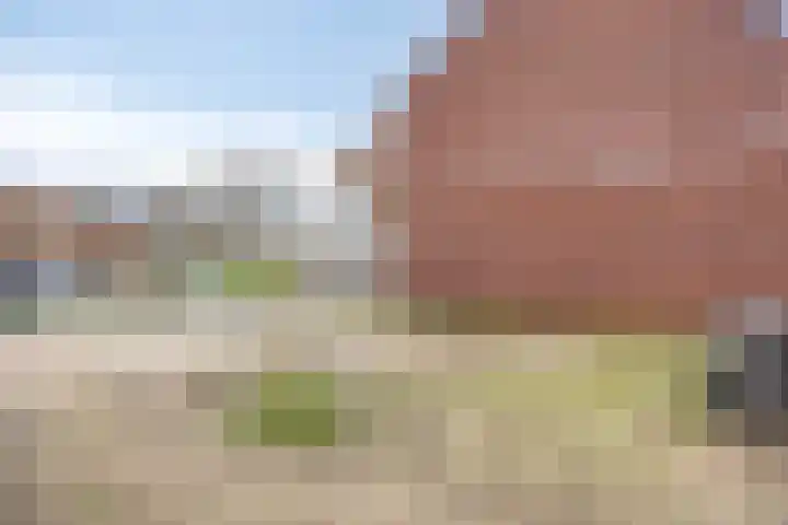 Wingtapper 1 Venhorst thumbnail 25