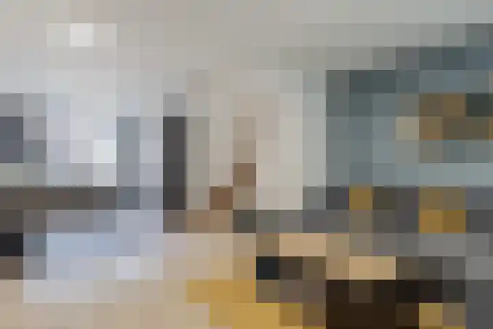 Wingtapper 10 Venhorst thumbnail 10