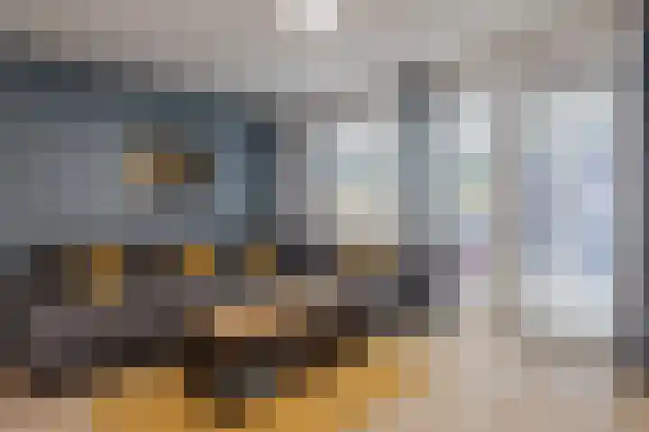 Wingtapper 10 Venhorst thumbnail 11