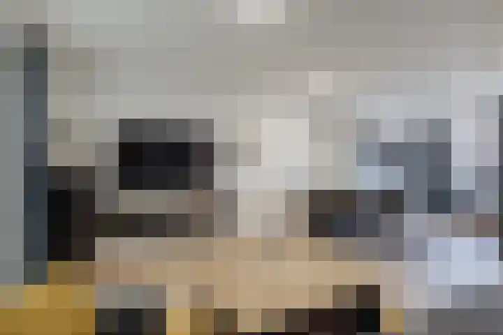 Wingtapper 10 Venhorst thumbnail 12