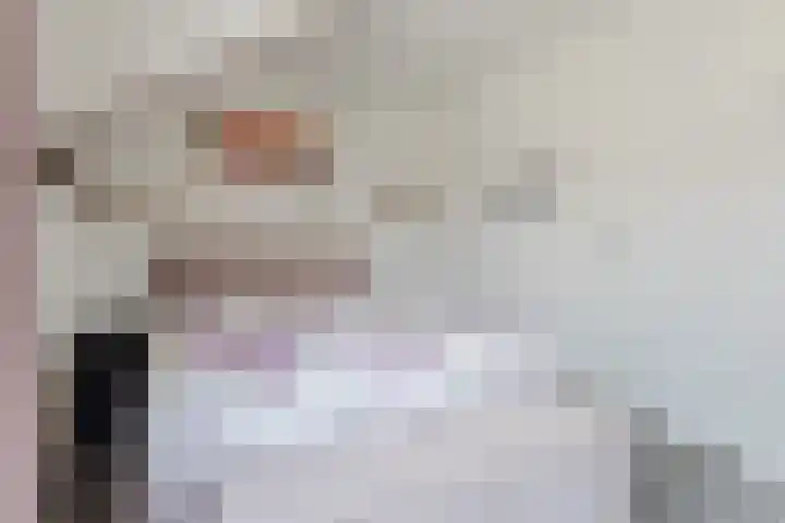 Wingtapper 10 Venhorst thumbnail 21