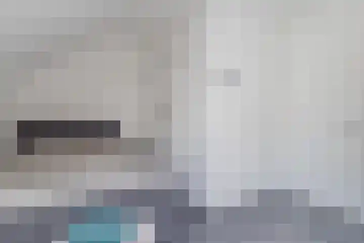 Wingtapper 10 Venhorst thumbnail 25