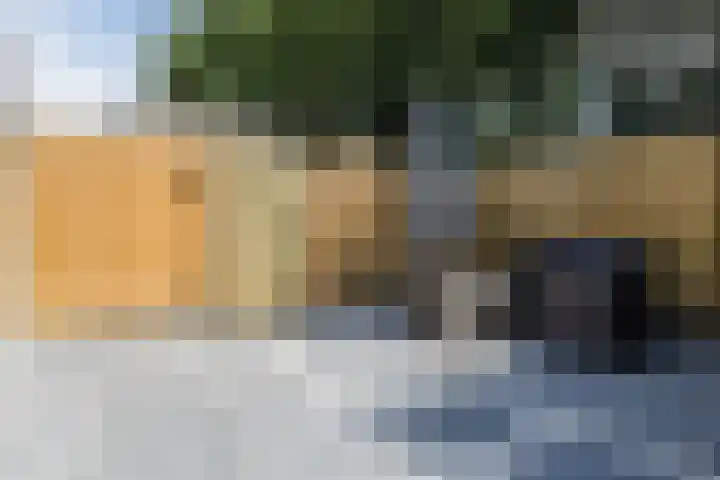 Wingtapper 10 Venhorst thumbnail 31