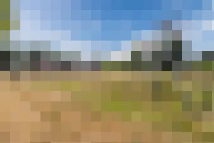 Wingtapper 10 Venhorst thumbnail 35