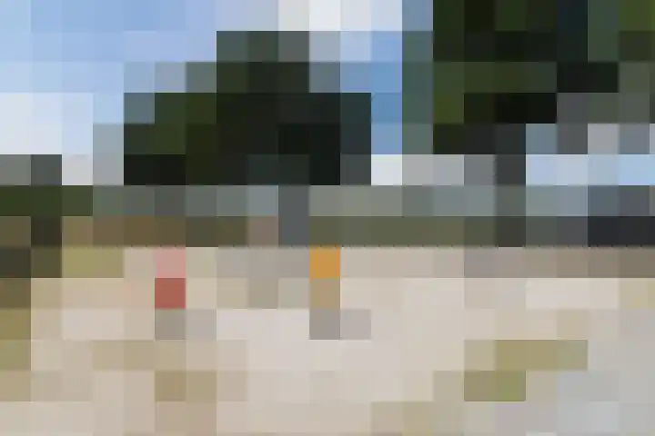 Wingtapper 10 Venhorst thumbnail 36