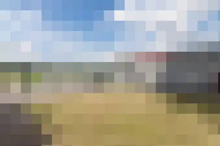 Wingtapper 10 Venhorst thumbnail 37