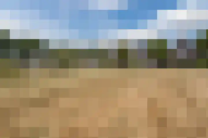 Wingtapper 10 Venhorst thumbnail 38