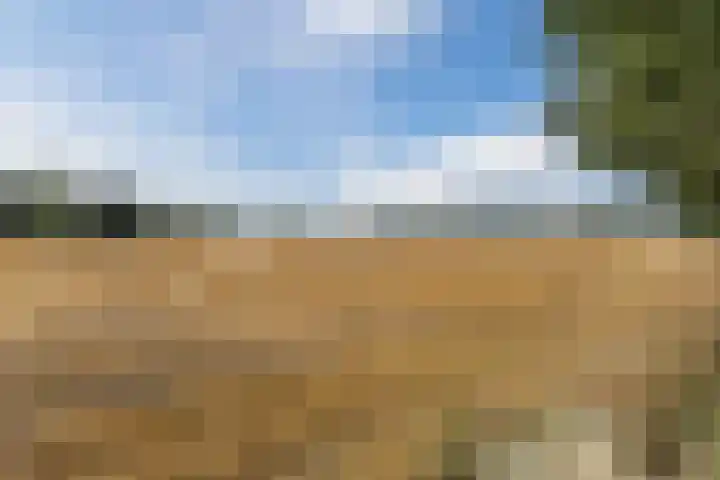 Wingtapper 10 Venhorst thumbnail 39