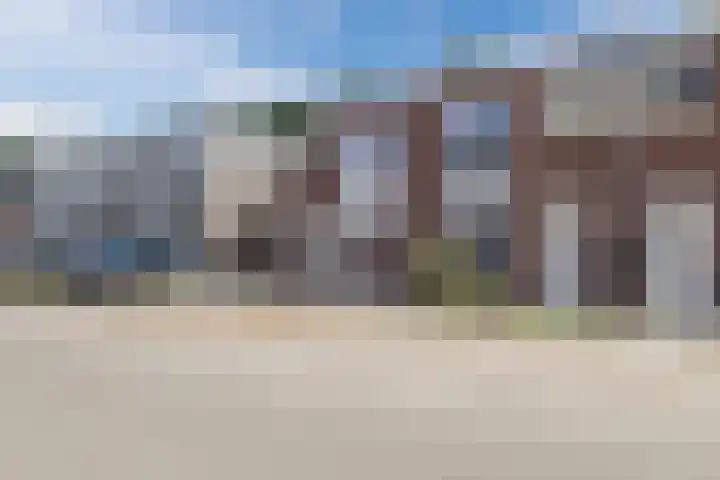 Wingtapper 10 Venhorst thumbnail 4