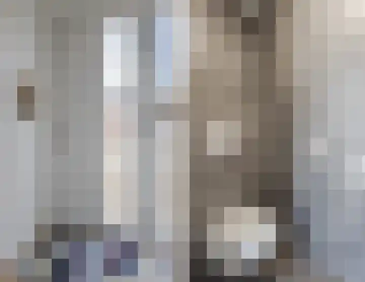 Wingtapper 10 Venhorst thumbnail 5