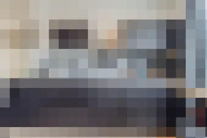 Wingtapper 10 Venhorst thumbnail 8