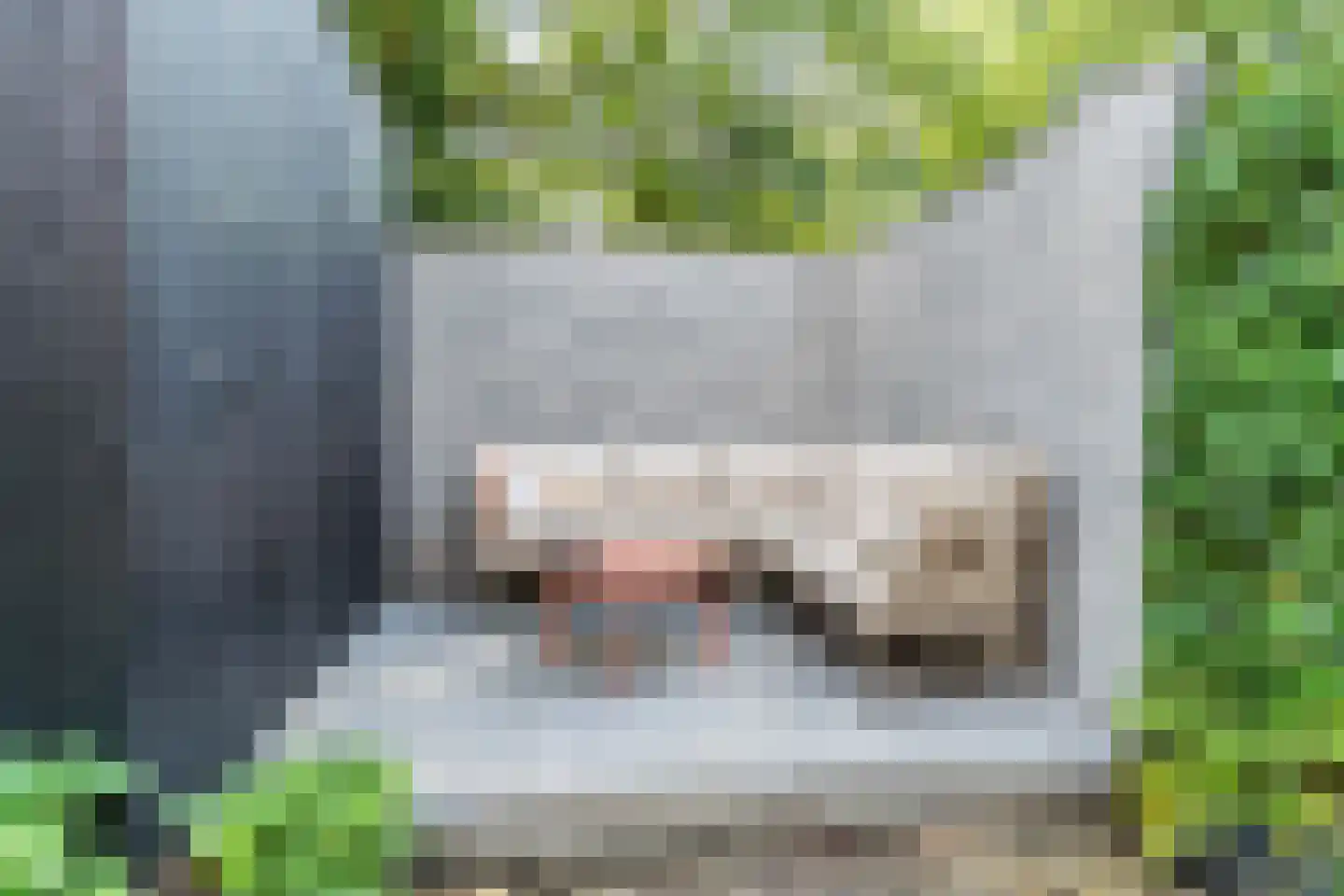 Wingtapper 4 Venhorst thumbnail 36