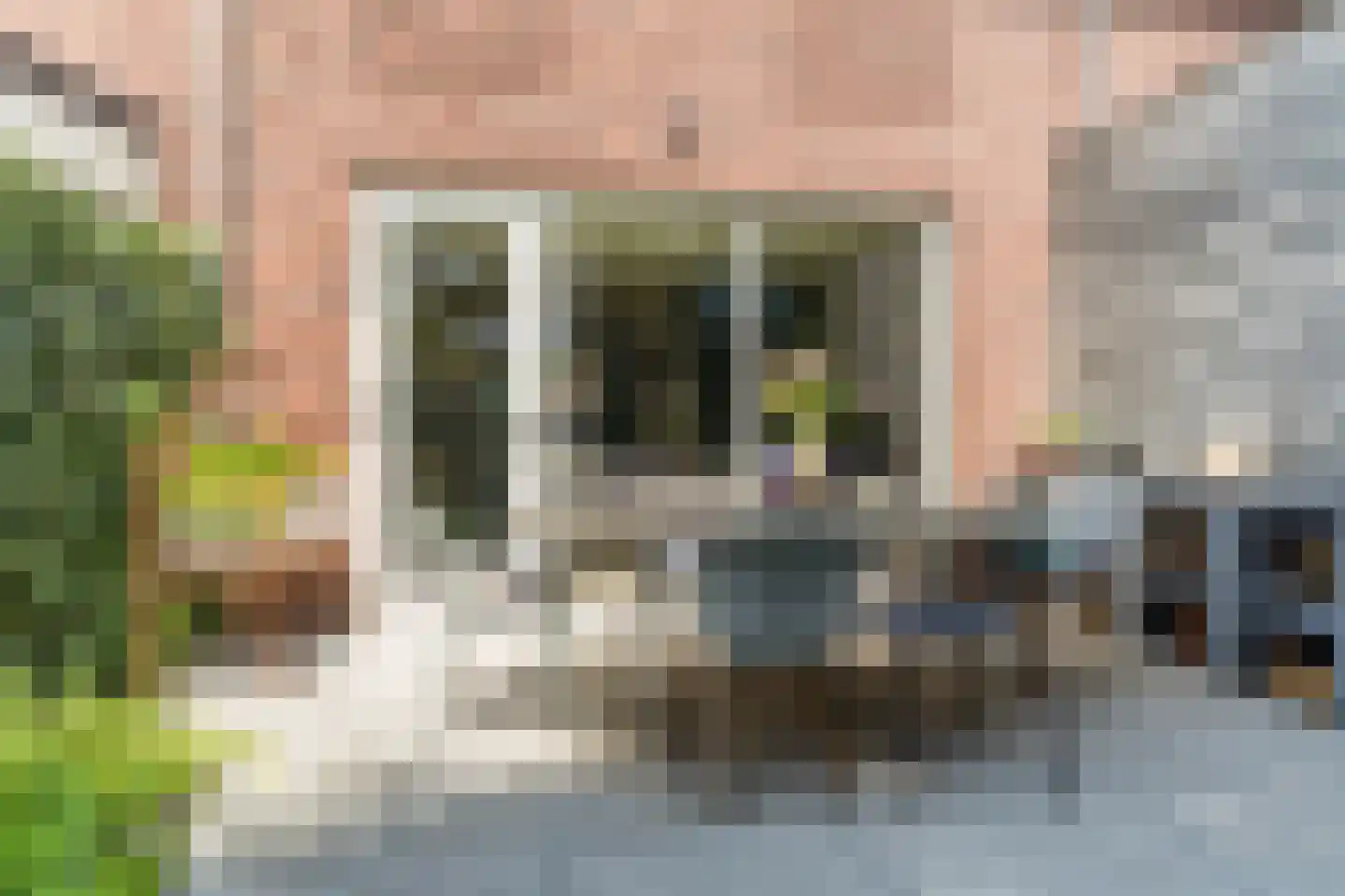 Wingtapper 4 Venhorst thumbnail 39