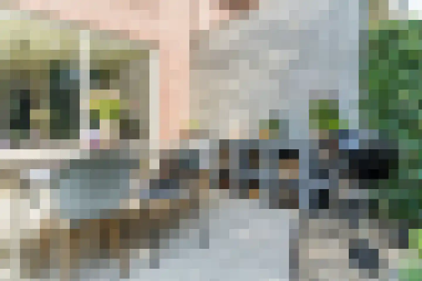 Wingtapper 4 Venhorst thumbnail 40