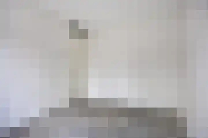 Wingtapper 5 Venhorst thumbnail 13