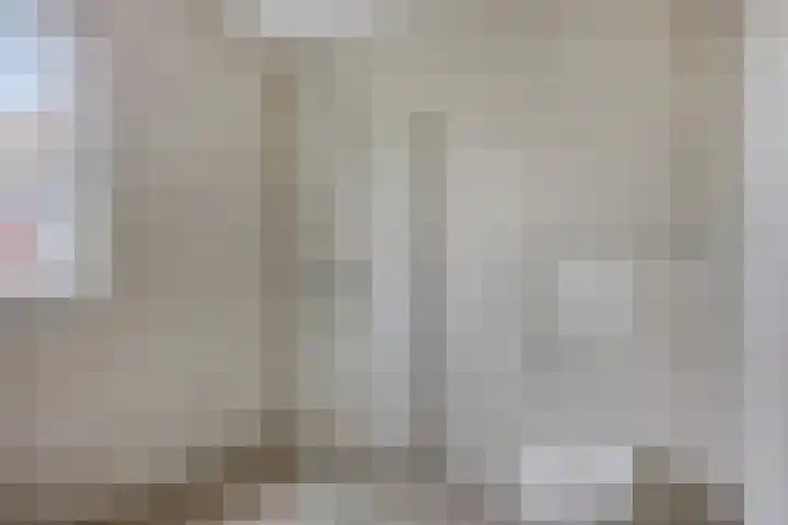 Wingtapper 5 Venhorst thumbnail 15