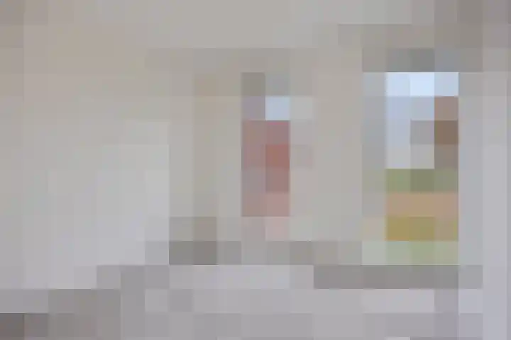 Wingtapper 5 Venhorst thumbnail 17