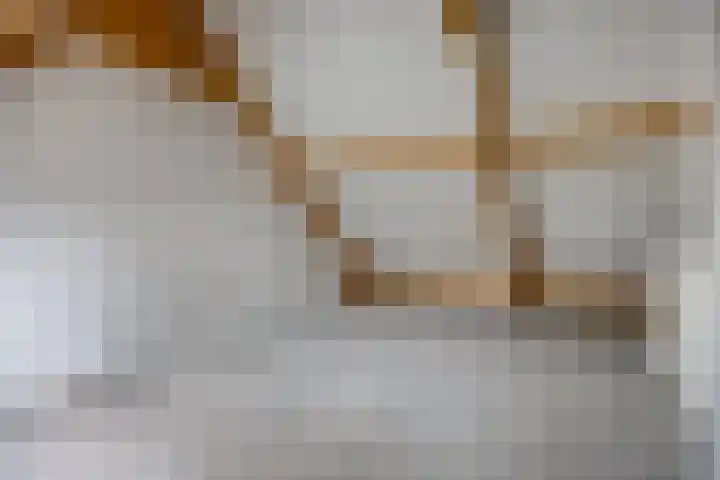 Wingtapper 5 Venhorst thumbnail 20
