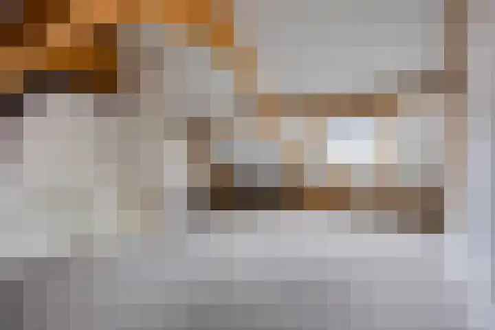 Wingtapper 5 Venhorst thumbnail 21