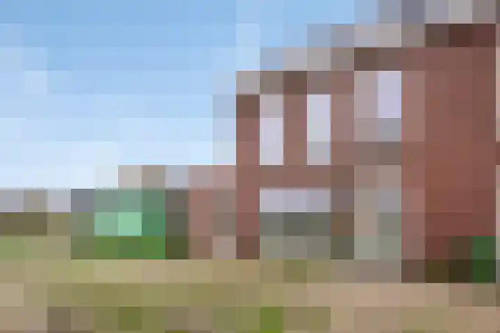 Wingtapper 5 Venhorst thumbnail 22