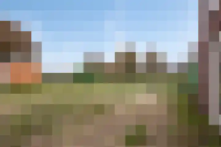 Wingtapper 5 Venhorst thumbnail 24