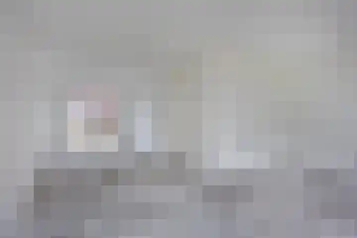 Wingtapper 5 Venhorst thumbnail 5
