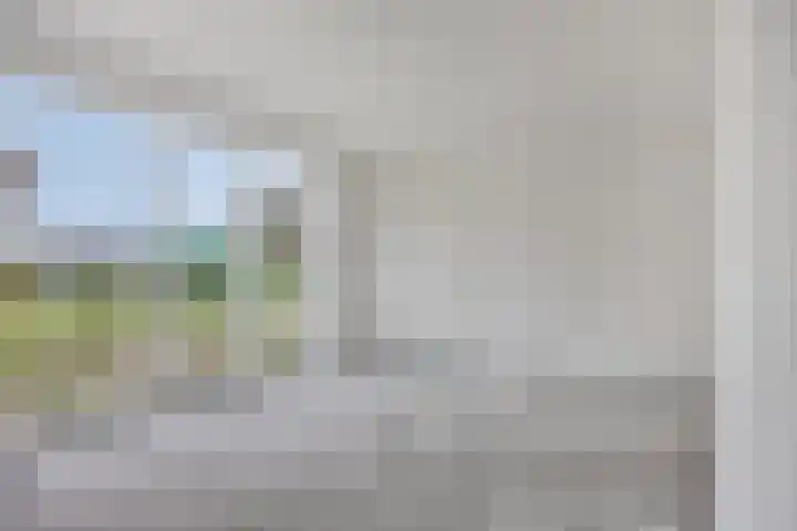 Wingtapper 5 Venhorst thumbnail 7