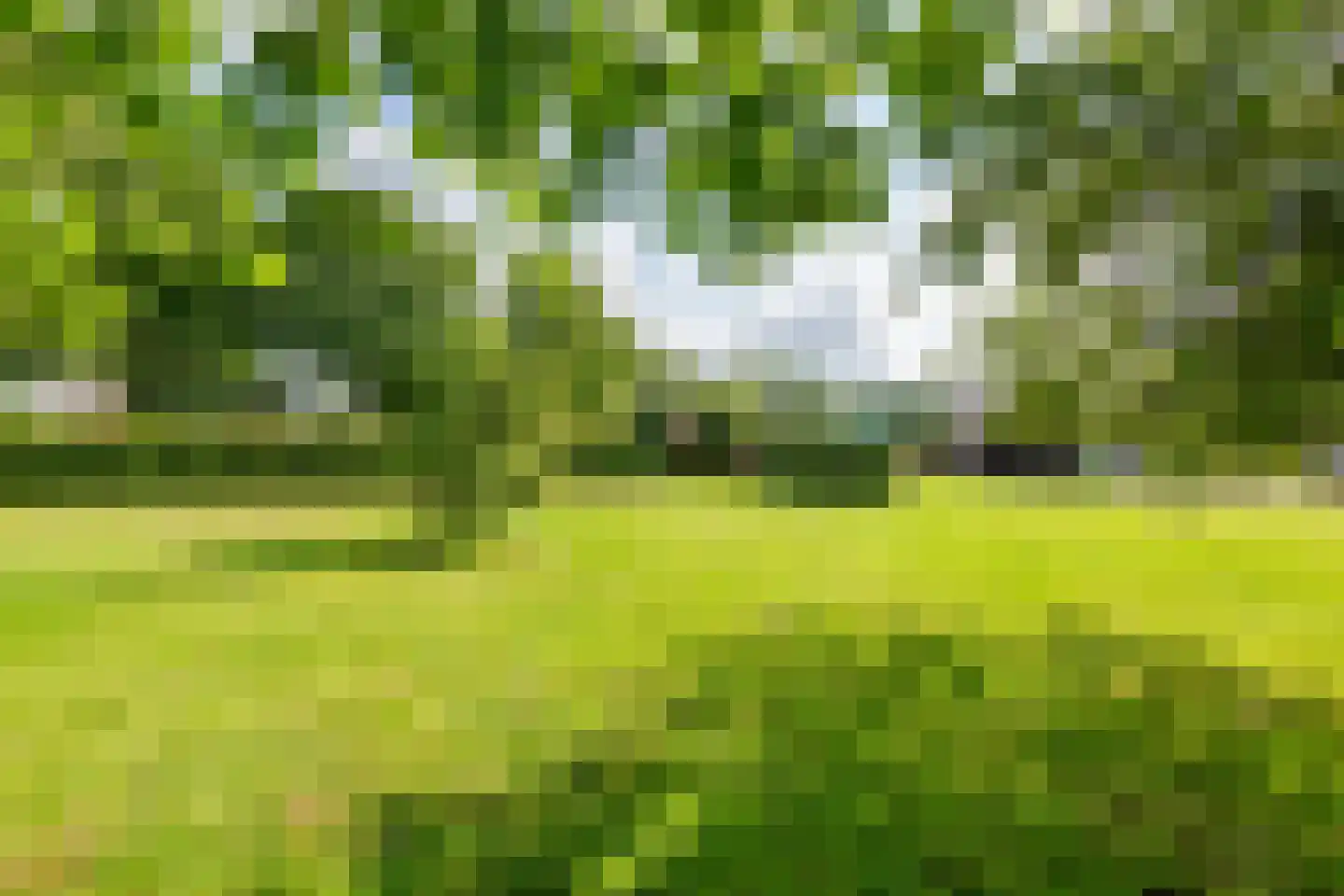Winjewaweg 3 Ingen thumbnail 13
