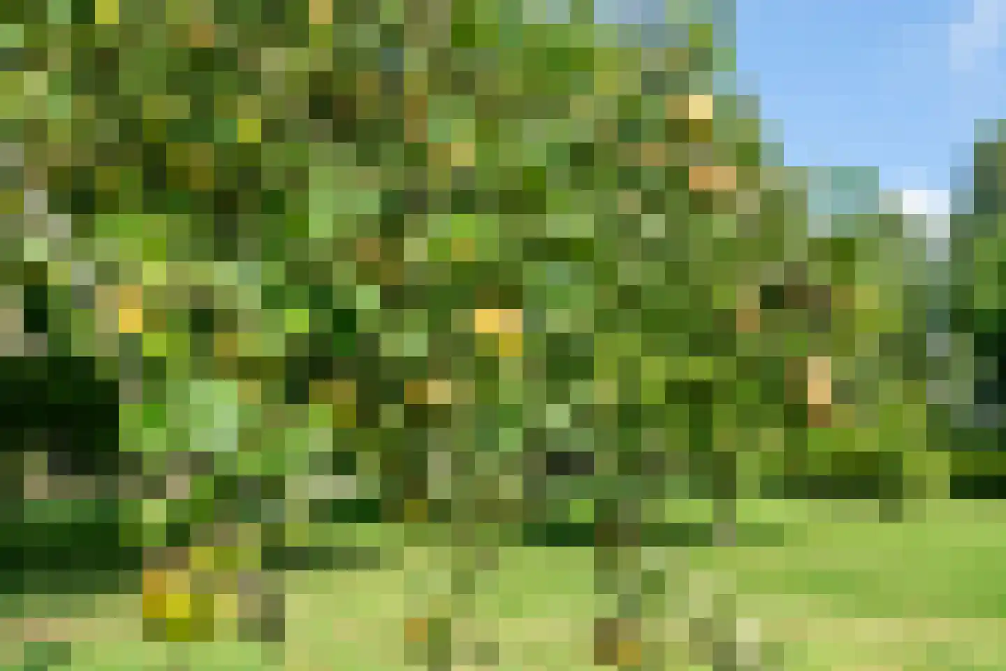 Winjewaweg 3 Ingen thumbnail 16