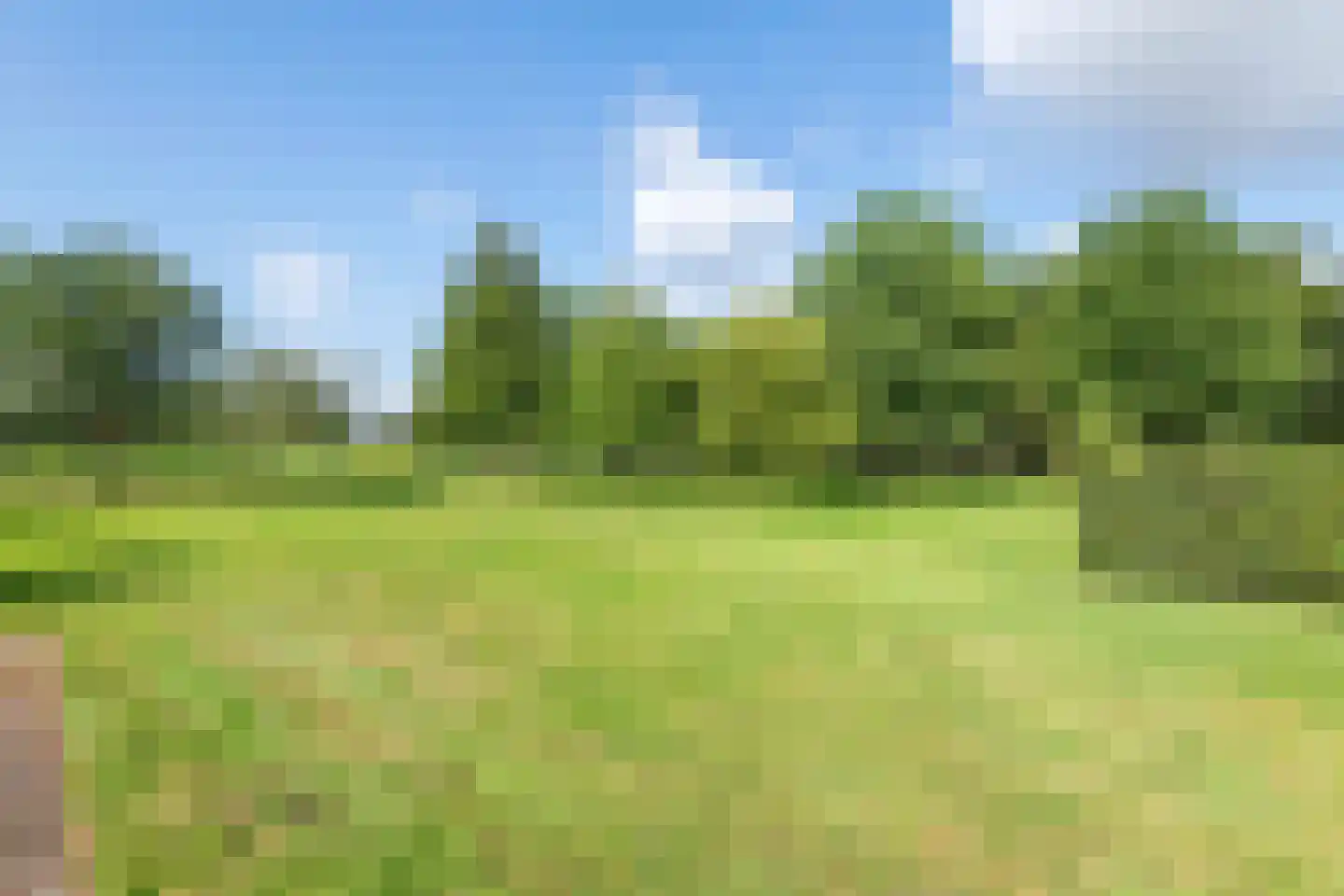 Winjewaweg 3 Ingen thumbnail 17