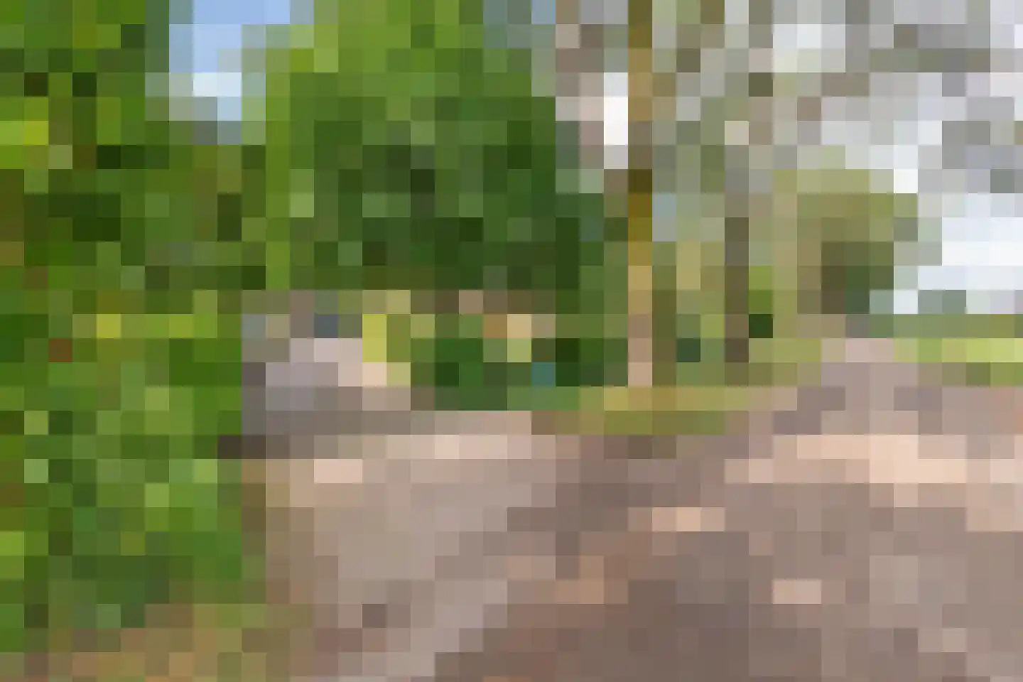 Winjewaweg 3 Ingen thumbnail 69