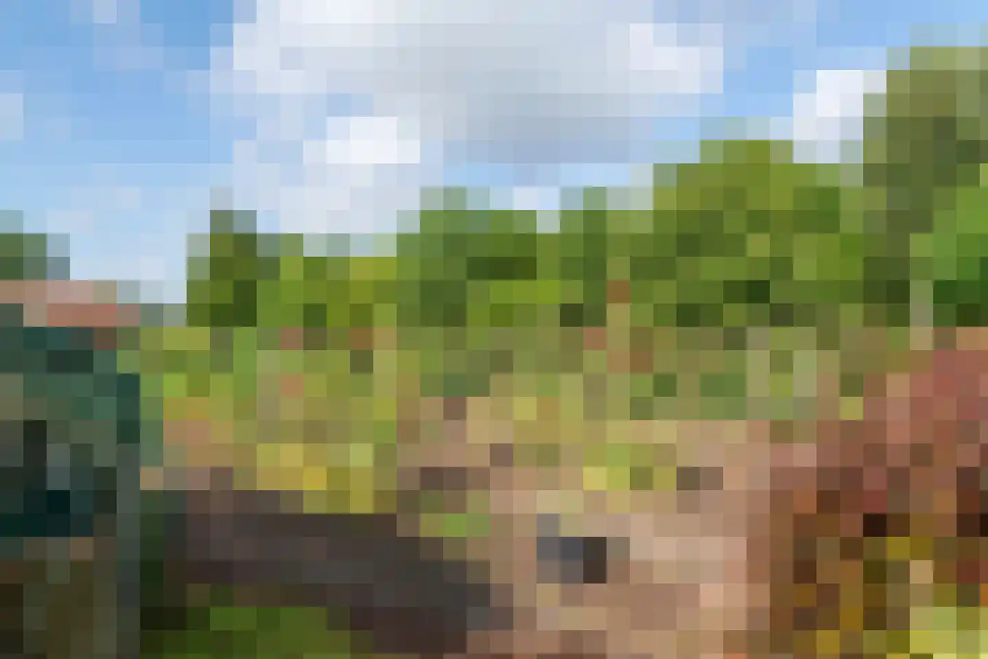 Winjewaweg 3 Ingen thumbnail 7