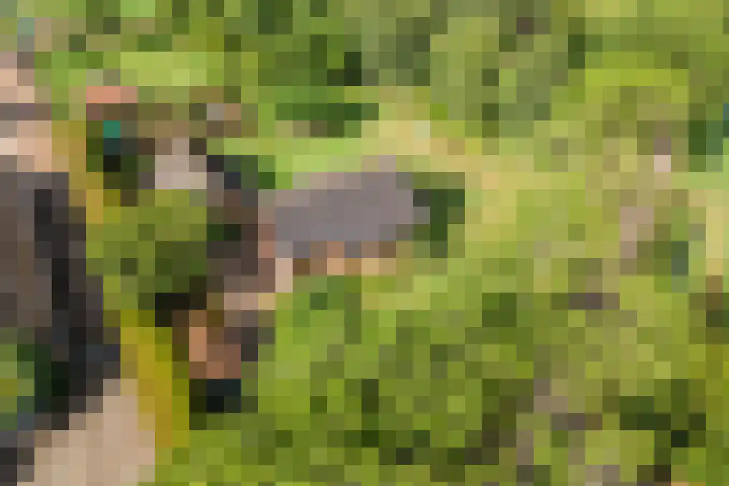 Winjewaweg 3 Ingen thumbnail 70