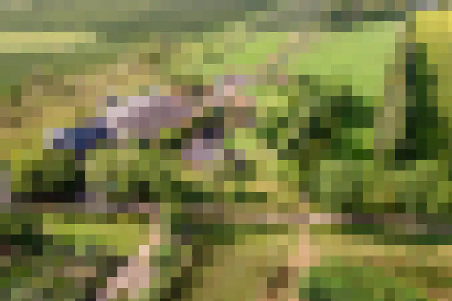 Winjewaweg 3 Ingen thumbnail 71