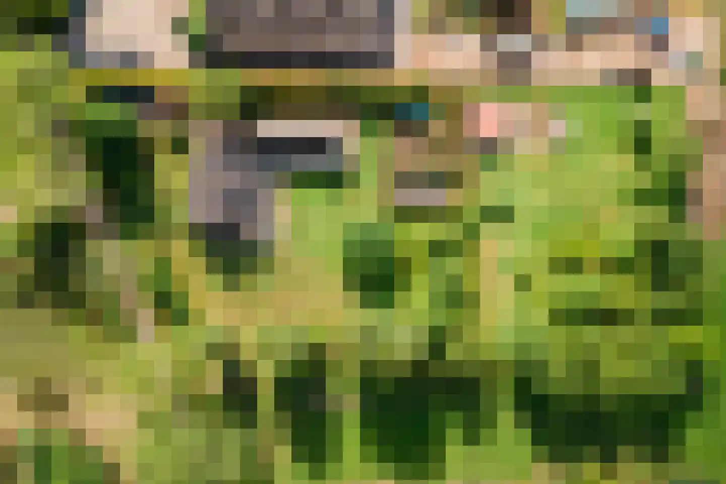 Winjewaweg 3 Ingen thumbnail 72