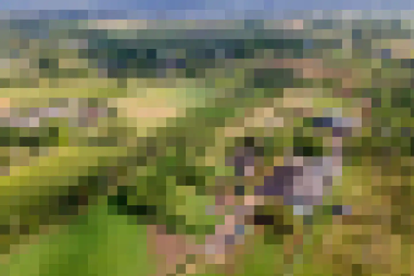 Winjewaweg 3 Ingen thumbnail 73