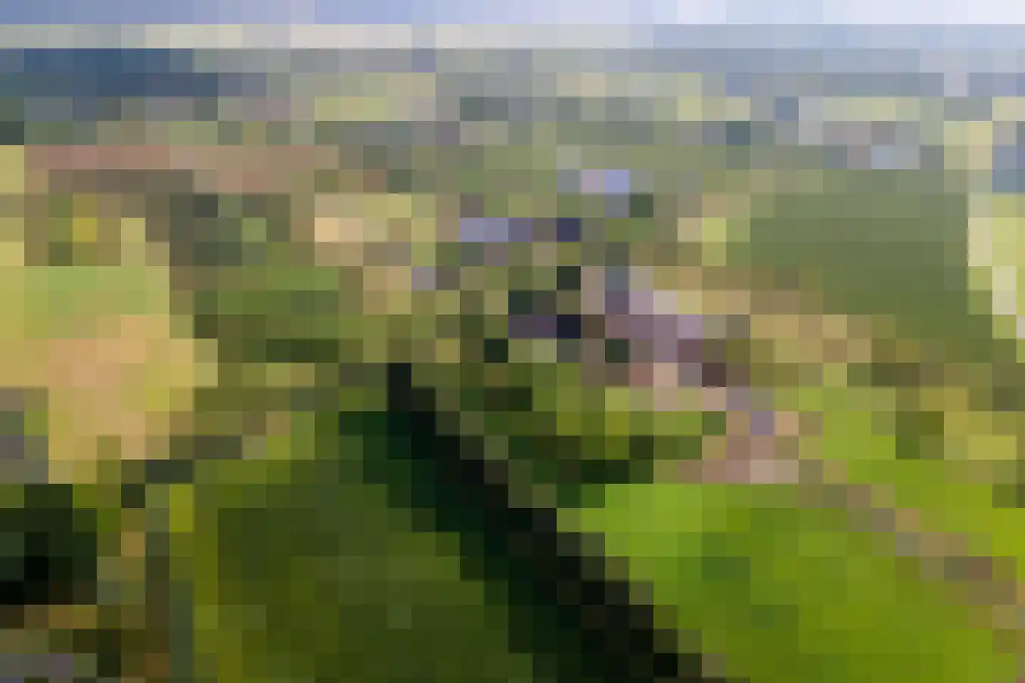Winjewaweg 3 Ingen thumbnail 74