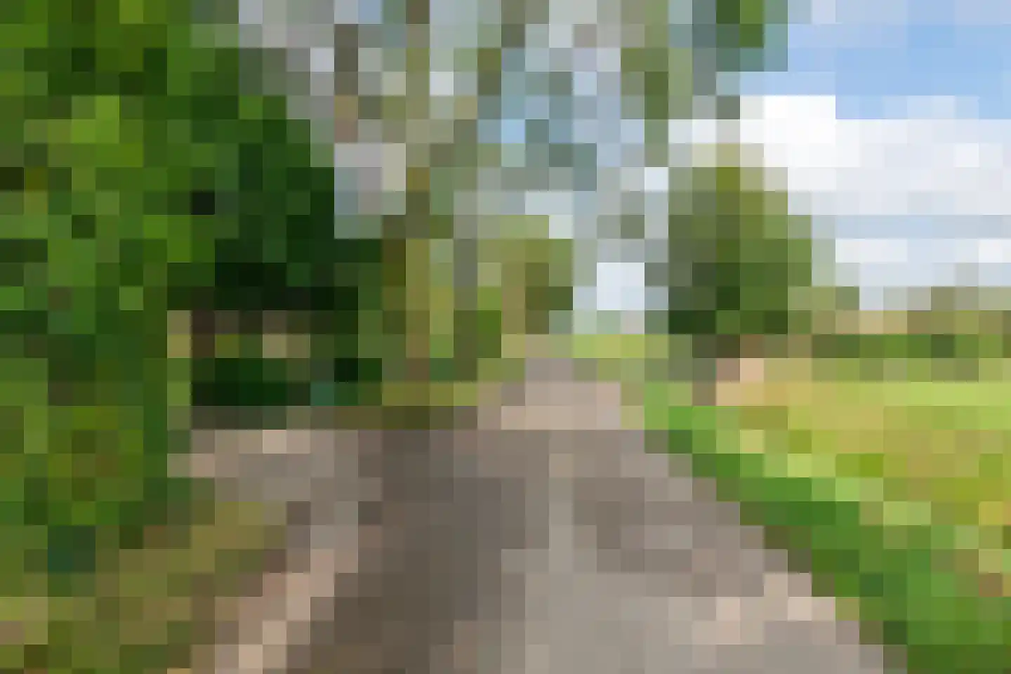 Winjewaweg 3 Ingen thumbnail 75