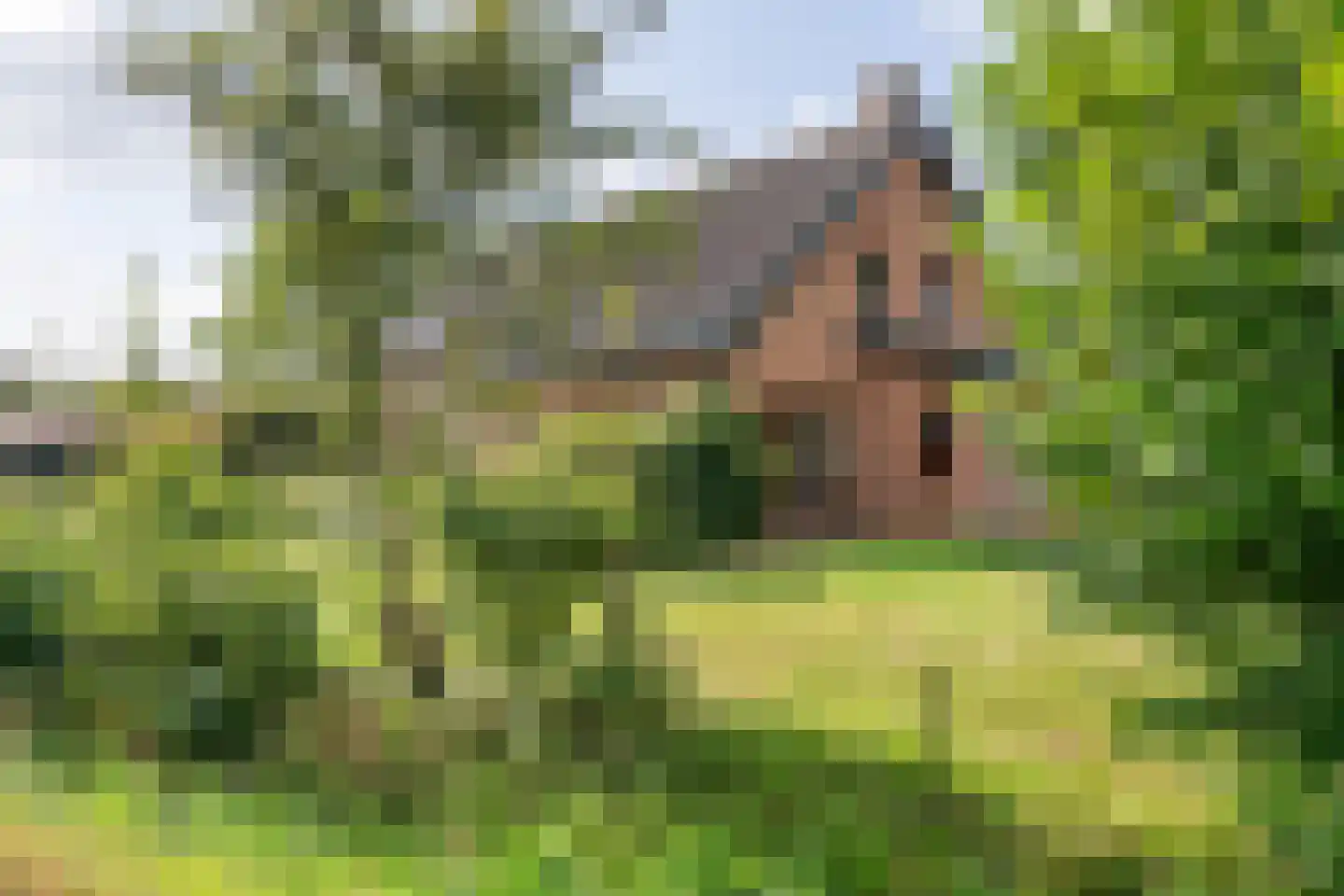 Winjewaweg 3 Ingen thumbnail 78